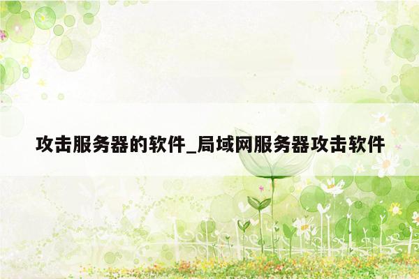 攻击服务器的软件_局域网服务器攻击软件