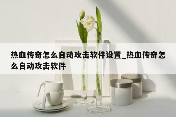 热血传奇怎么自动攻击软件设置_热血传奇怎么自动攻击软件