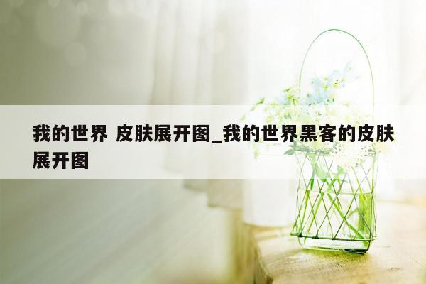 我的世界 皮肤展开图_我的世界黑客的皮肤展开图