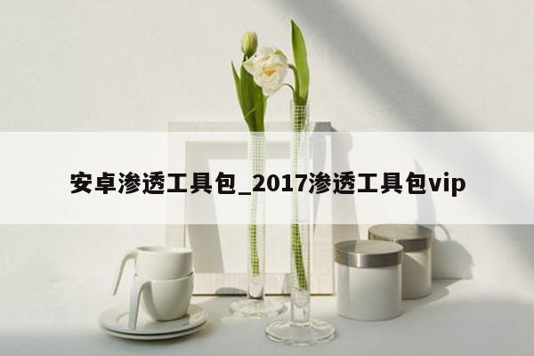 安卓渗透工具包_2017渗透工具包vip