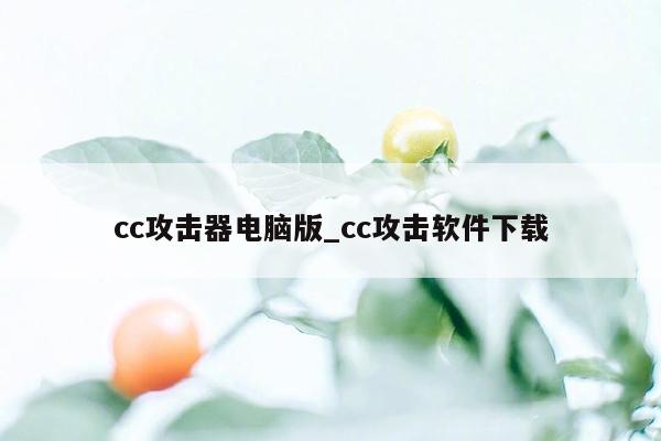 cc攻击器电脑版_cc攻击软件下载