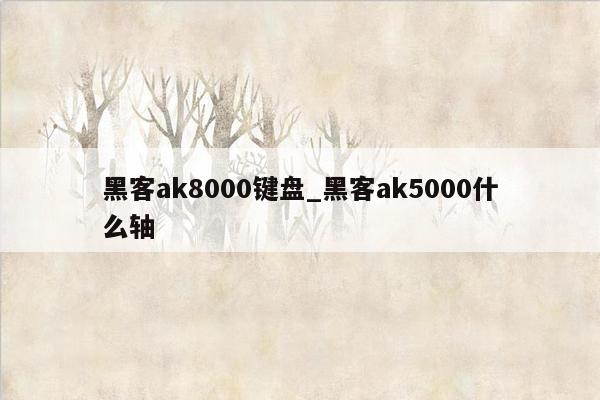 黑客ak8000键盘_黑客ak5000什么轴