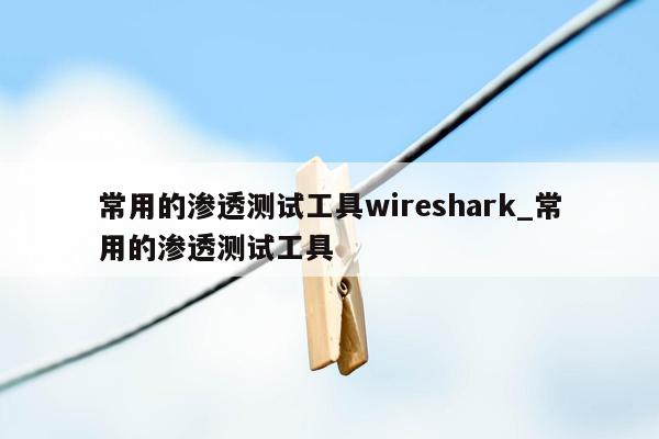 常用的渗透测试工具wireshark_常用的渗透测试工具