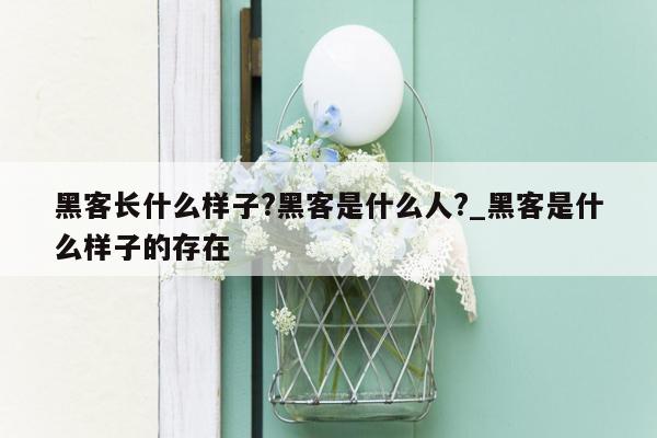 黑客长什么样子?黑客是什么人?_黑客是什么样子的存在