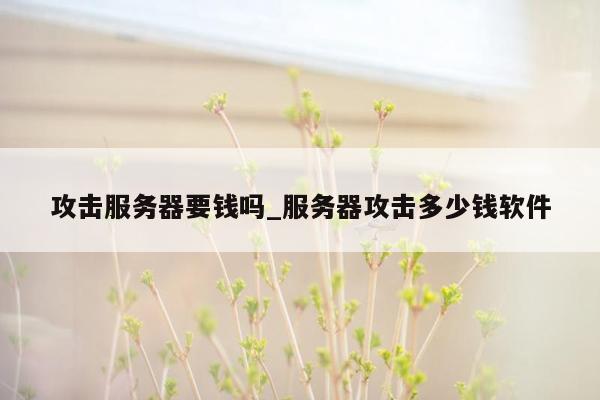 攻击服务器要钱吗_服务器攻击多少钱软件