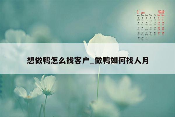 想做鸭怎么找客户_做鸭如何找人月