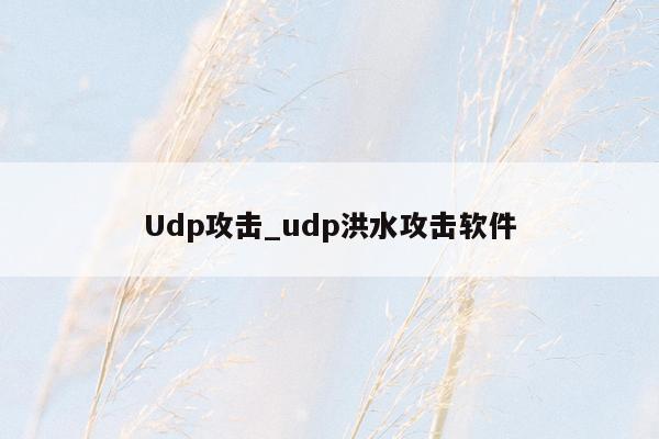 Udp攻击_udp洪水攻击软件