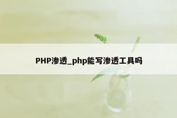 PHP渗透_php能写渗透工具吗