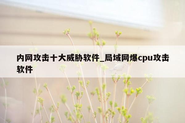 内网攻击十大威胁软件_局域网爆cpu攻击软件