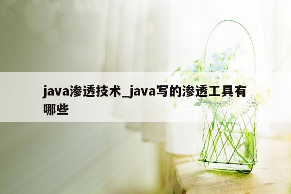 java渗透技术_java写的渗透工具有哪些