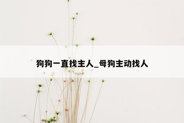 狗狗一直找主人_母狗主动找人