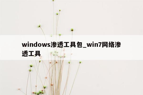 windows渗透工具包_win7网络渗透工具