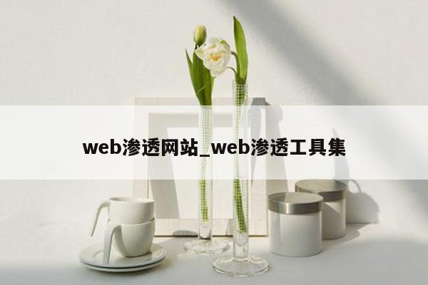 web渗透网站_web渗透工具集