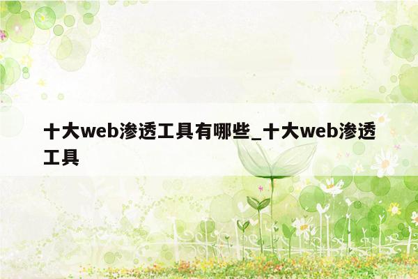 十大web渗透工具有哪些_十大web渗透工具