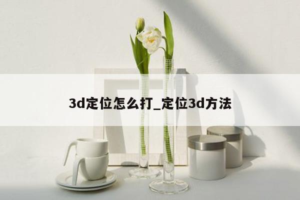 3d定位怎么打_定位3d方法