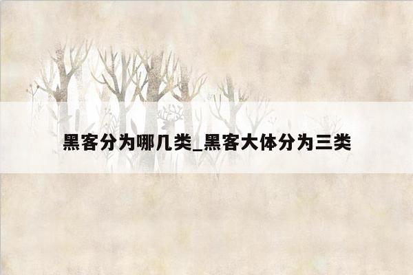 黑客分为哪几类_黑客大体分为三类