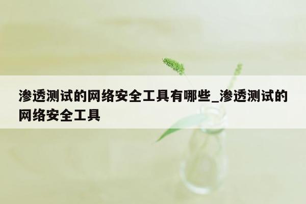 渗透测试的网络安全工具有哪些_渗透测试的网络安全工具