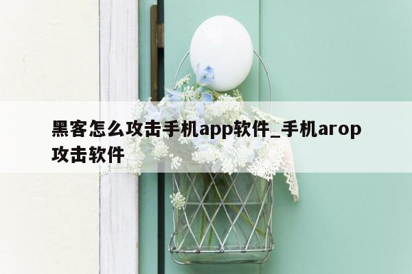 黑客怎么攻击手机app软件_手机arop攻击软件