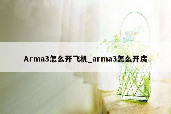 Arma3怎么开飞机_arma3怎么开房