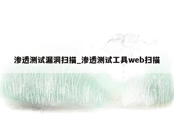 渗透测试漏洞扫描_渗透测试工具web扫描