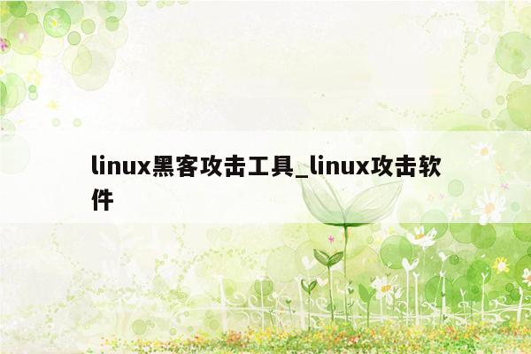 linux黑客攻击工具_linux攻击软件