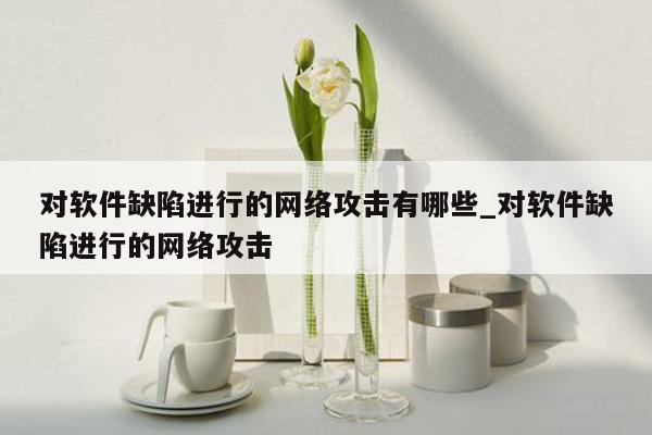 对软件缺陷进行的网络攻击有哪些_对软件缺陷进行的网络攻击