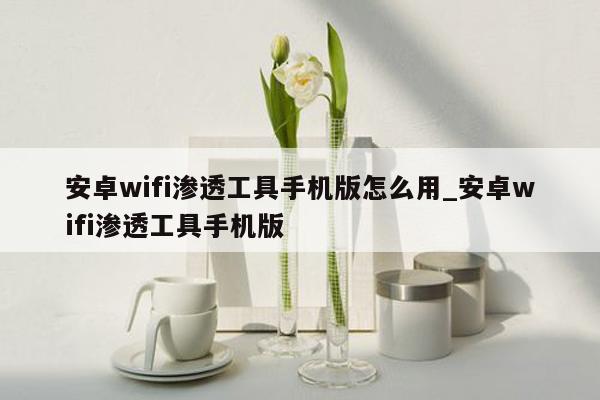 安卓wifi渗透工具手机版怎么用_安卓wifi渗透工具手机版