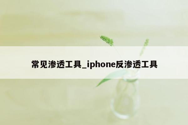 常见渗透工具_iphone反渗透工具