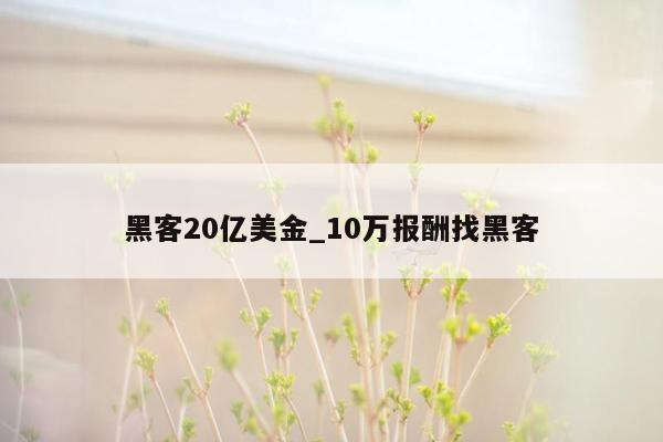 黑客20亿美金_10万报酬找黑客