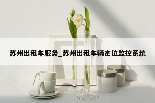 苏州出租车服务_苏州出租车辆定位监控系统