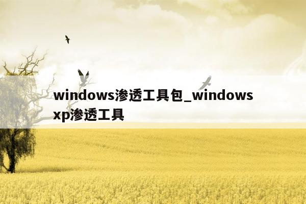 windows渗透工具包_windowsxp渗透工具