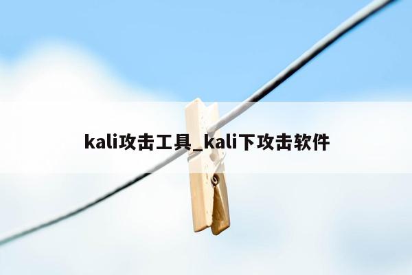 kali攻击工具_kali下攻击软件