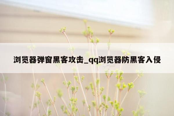 浏览器弹窗黑客攻击_qq浏览器防黑客入侵