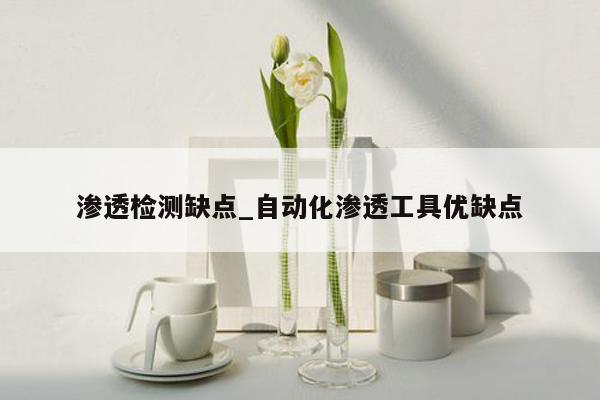 渗透检测缺点_自动化渗透工具优缺点