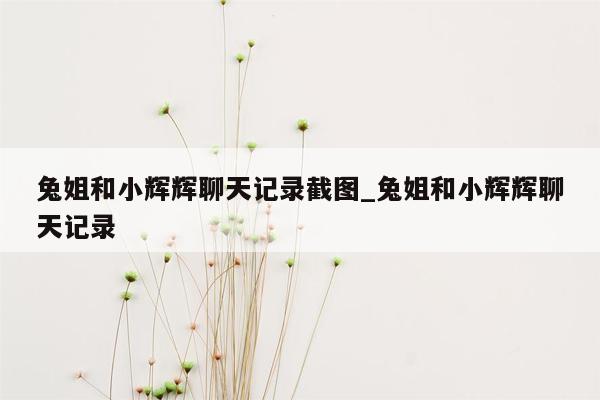 兔姐和小辉辉聊天记录截图_兔姐和小辉辉聊天记录