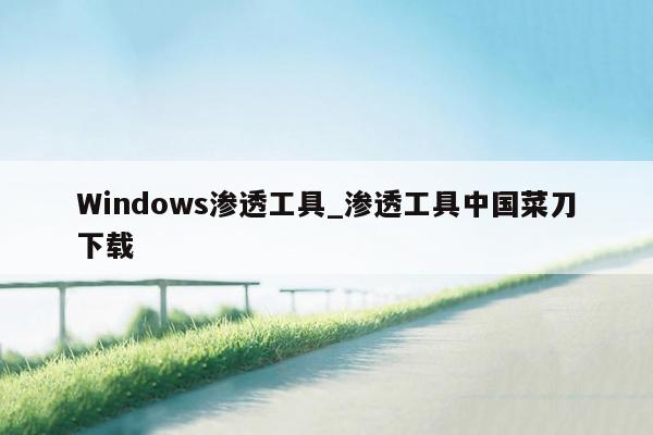 Windows渗透工具_渗透工具中国菜刀下载