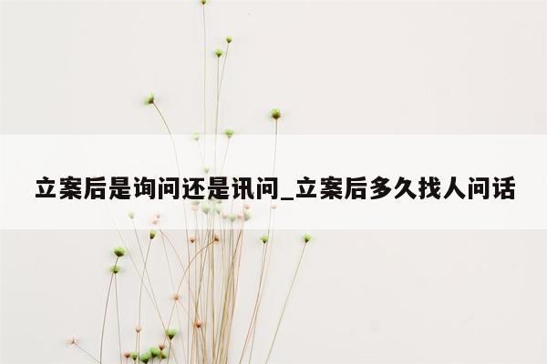 立案后是询问还是讯问_立案后多久找人问话