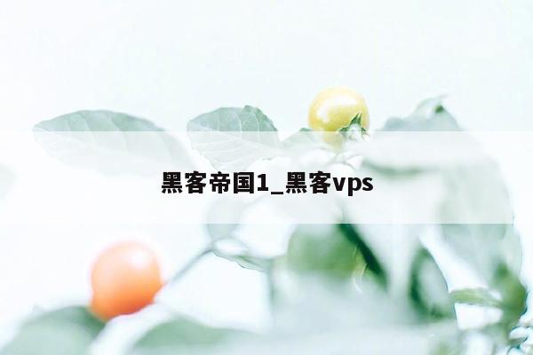 黑客帝国1_黑客vps