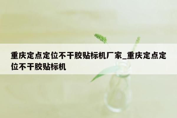 重庆定点定位不干胶贴标机厂家_重庆定点定位不干胶贴标机