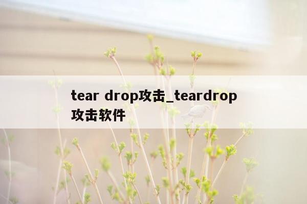 tear drop攻击_teardrop攻击软件