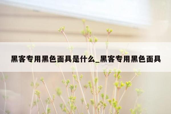 黑客专用黑色面具是什么_黑客专用黑色面具