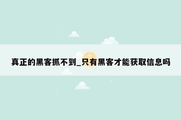 真正的黑客抓不到_只有黑客才能获取信息吗