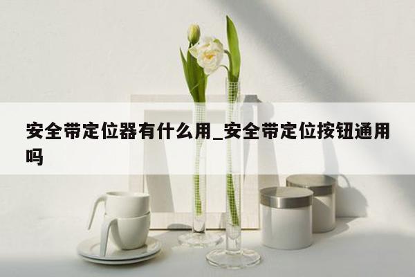 安全带定位器有什么用_安全带定位按钮通用吗