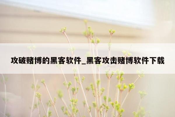 攻破赌博的黑客软件_黑客攻击赌博软件下载