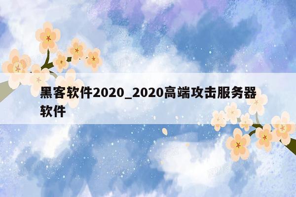 黑客软件2020_2020高端攻击服务器软件