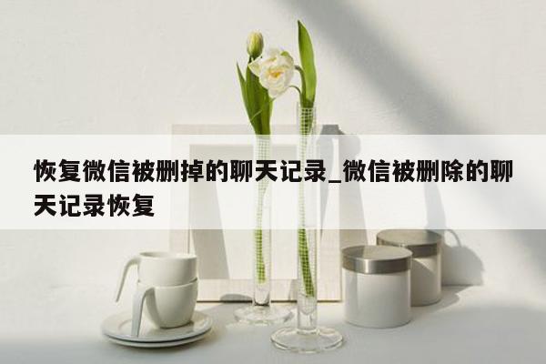 恢复微信被删掉的聊天记录_微信被删除的聊天记录恢复