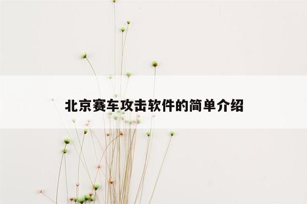 北京赛车攻击软件的简单介绍