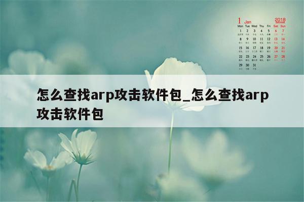 怎么查找arp攻击软件包_怎么查找arp攻击软件包