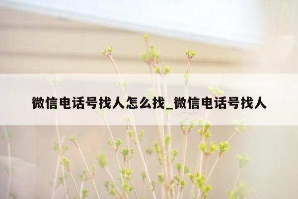 微信电话号找人怎么找_微信电话号找人