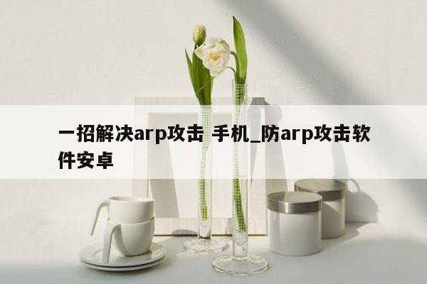 一招解决arp攻击 手机_防arp攻击软件安卓